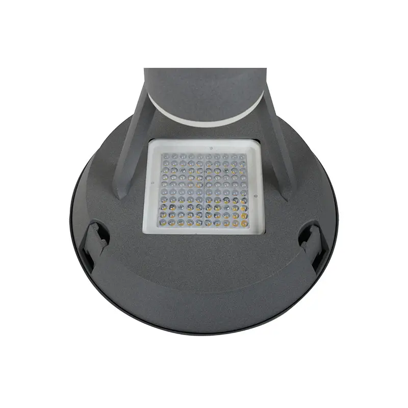 OEM/ODM Factory High Pressure Sodium Street Lights - ip66 Aluminum hotsale factory direct sale multi led chips led lens diriver 2700-6500k 30w 100W LED GARDEN LIGHT – Kasem detail pictures